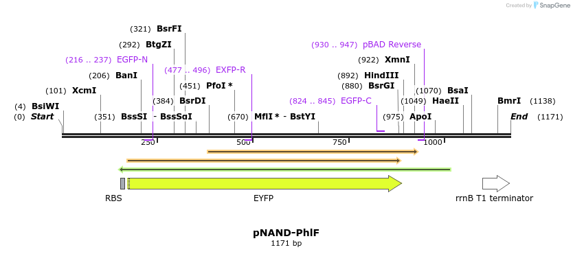 73357_map