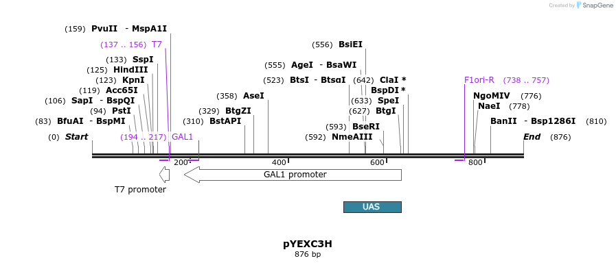 73370_map