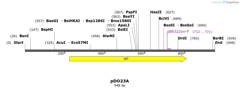 73379_map