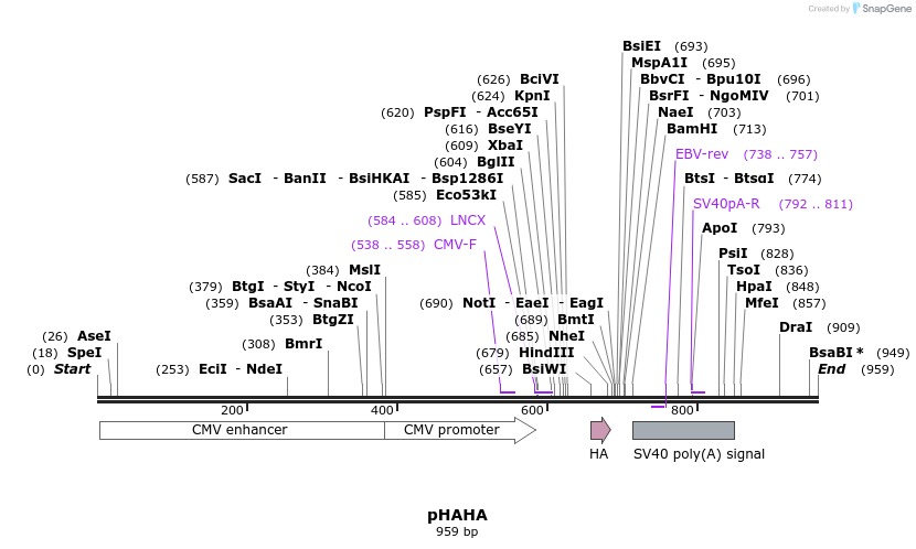 7338_map