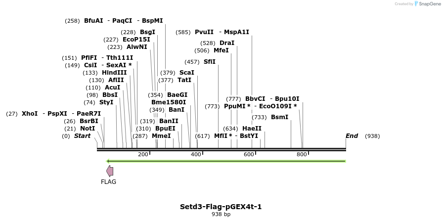 73380_map