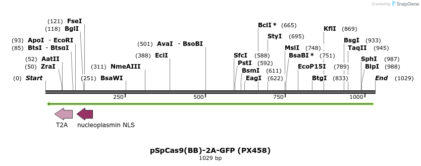 73382_map