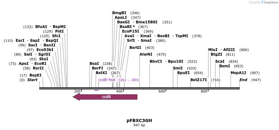 73386_map