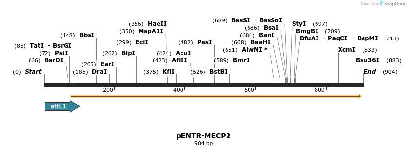 73393_map