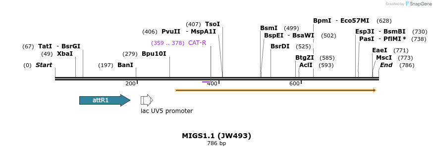 73397_map