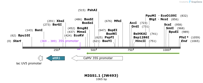 73399_map