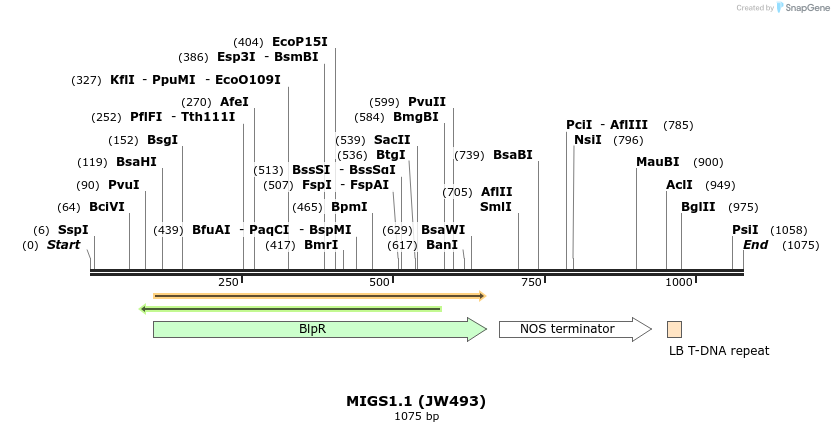 73401_map