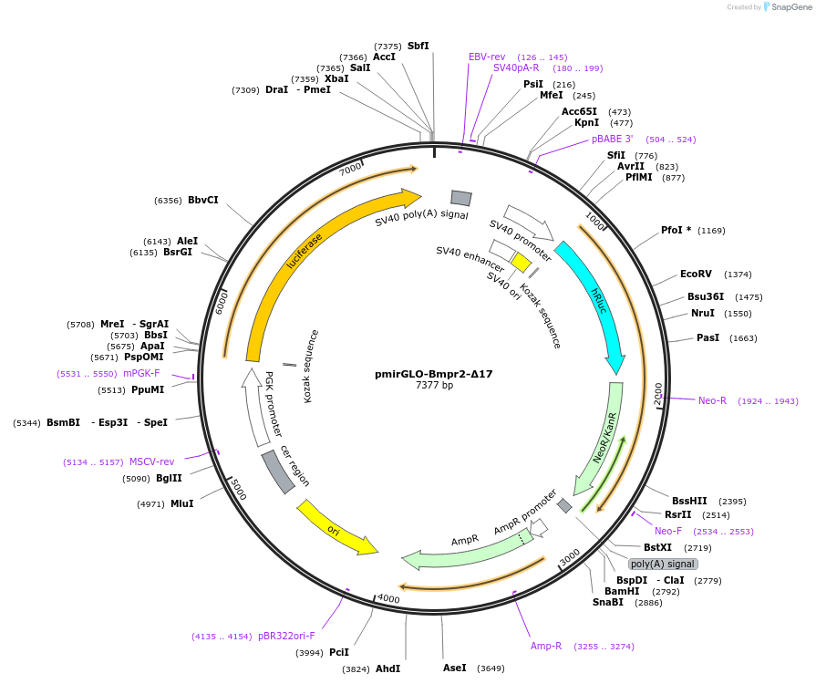 73403_map