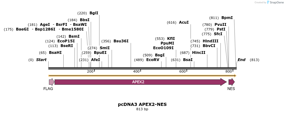 73410_map
