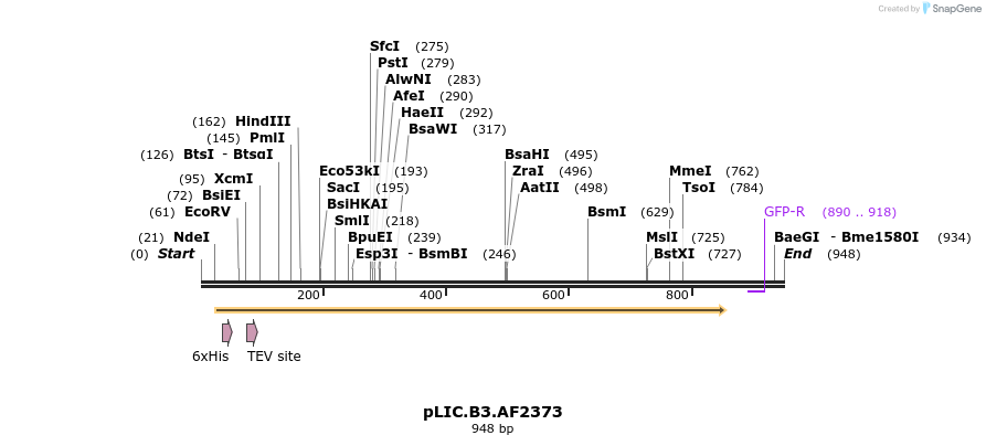 73411_map