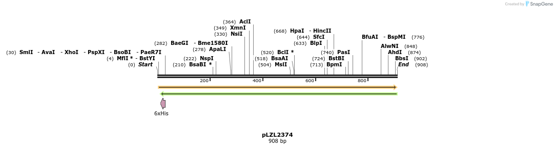 73413_map