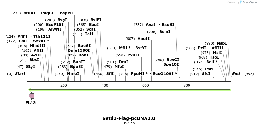 73414_map