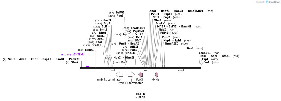 73417_map