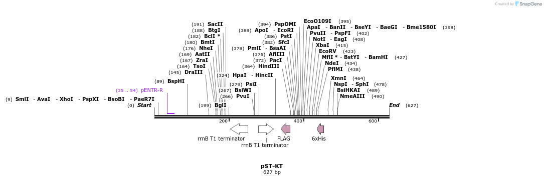 73418_map