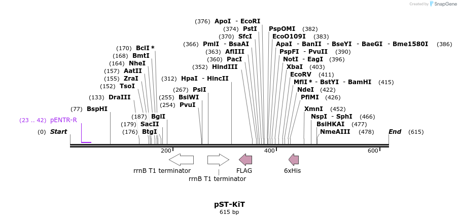 73419_map