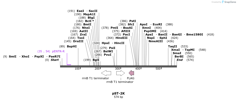 73421_map