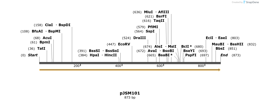 73423_map