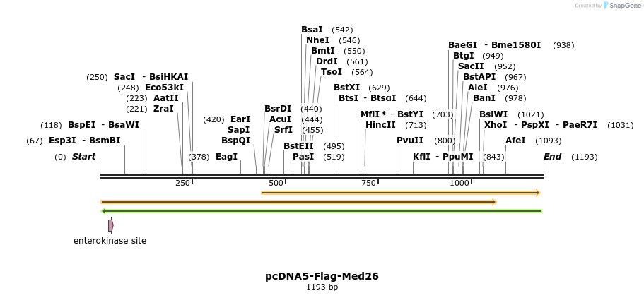 73424_map