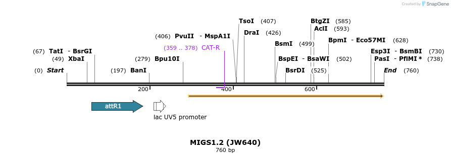 73427_map