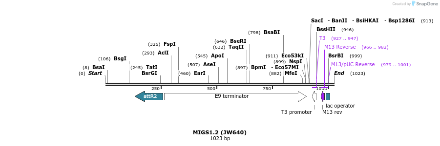 73428_map