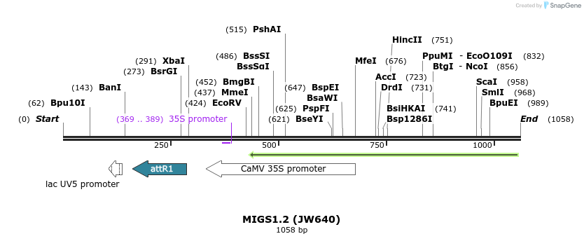 73429_map