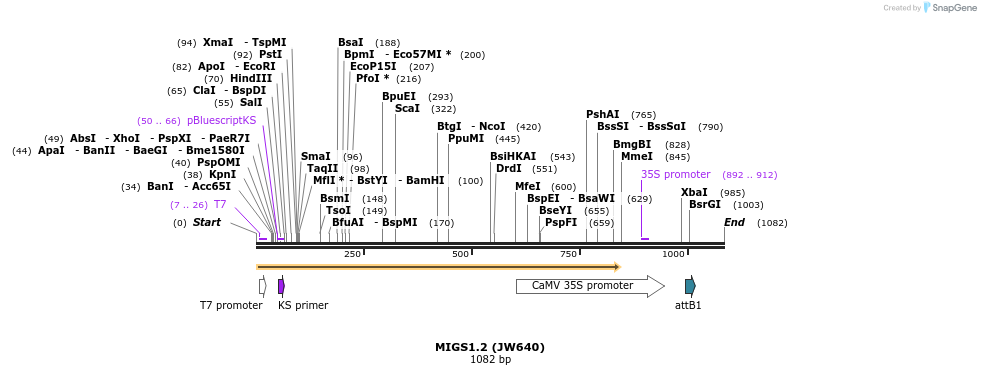 73430_map