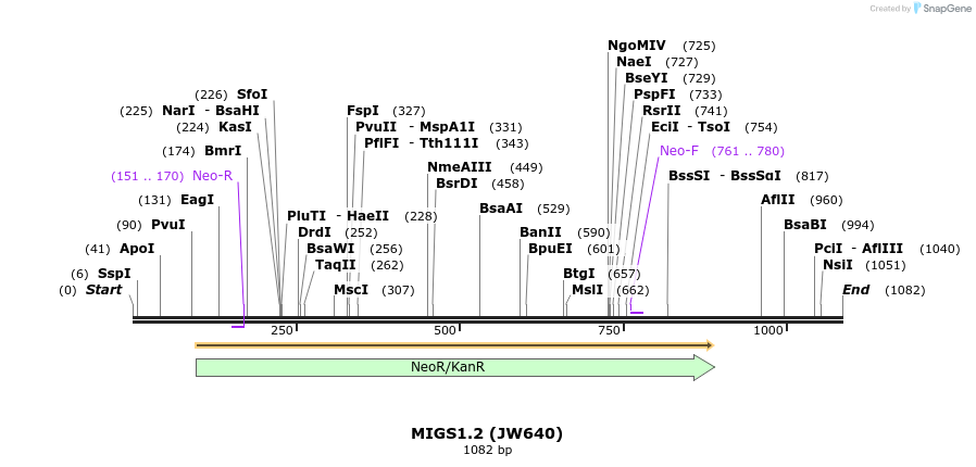73431_map