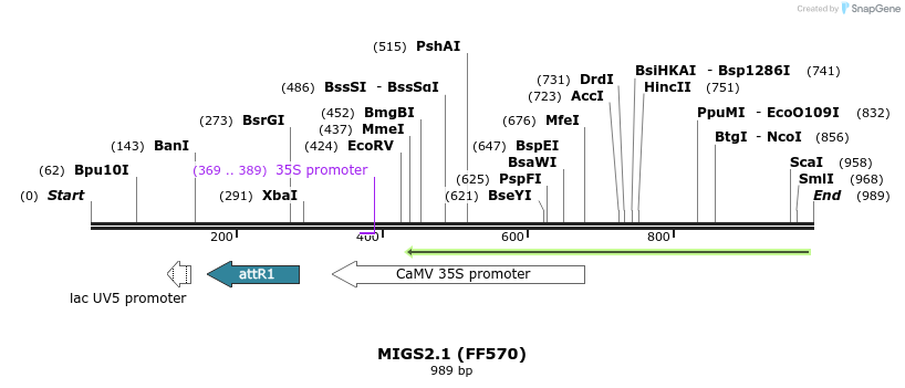 73435_map