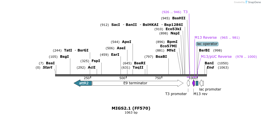 73437_map