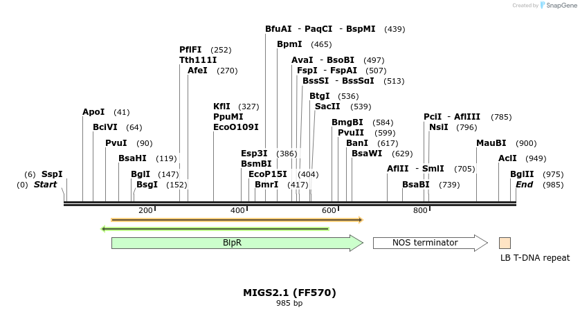 73438_map