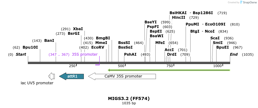 73443_map