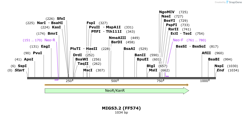 73445_map