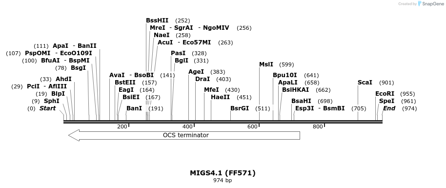 73448_map
