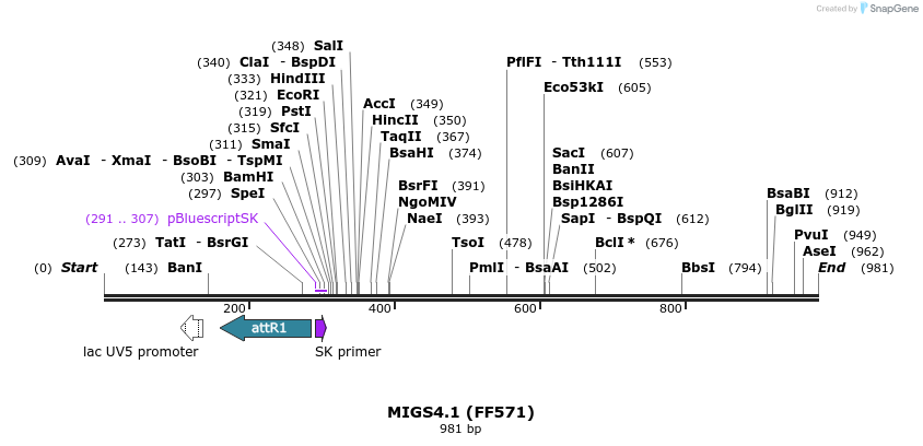 73449_map