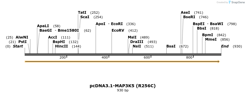 73457_map