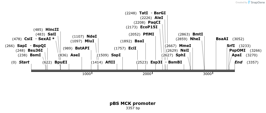 7346_map