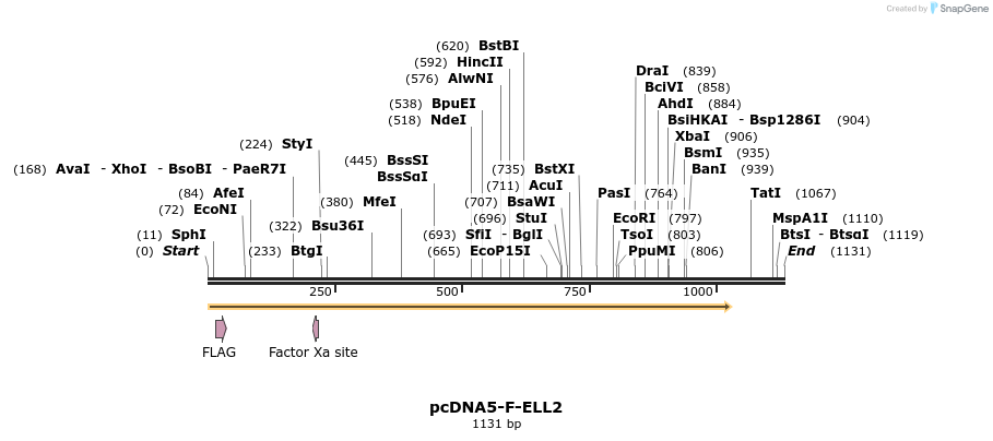 73462_map