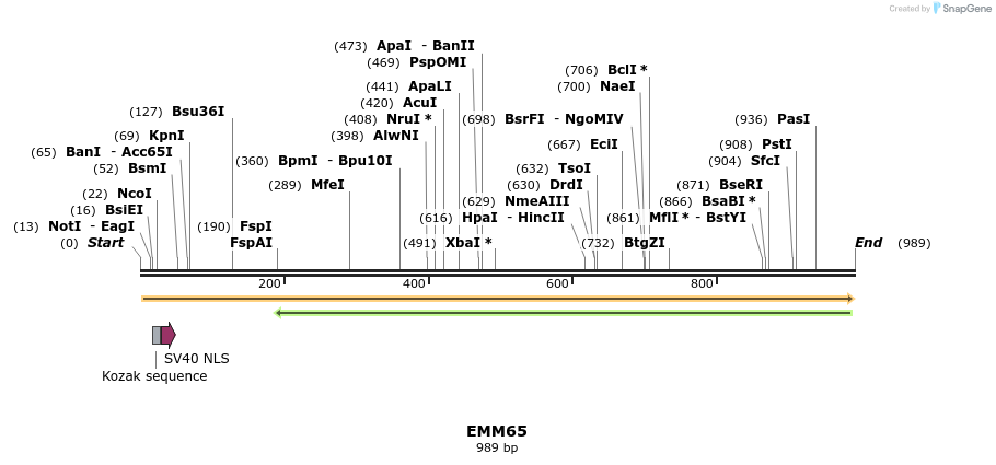 73464_map