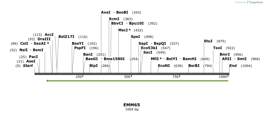 73467_map