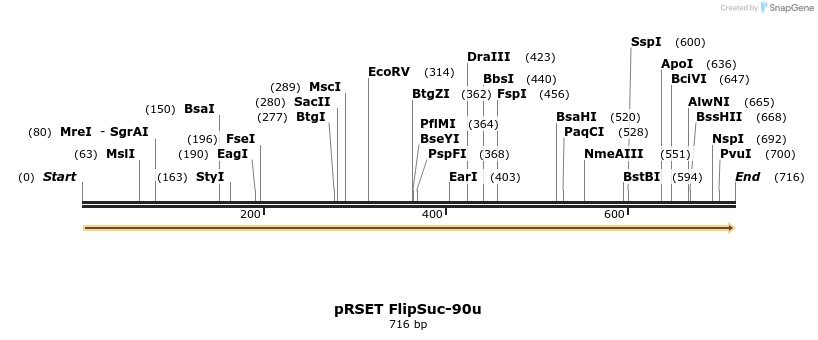 73468_map