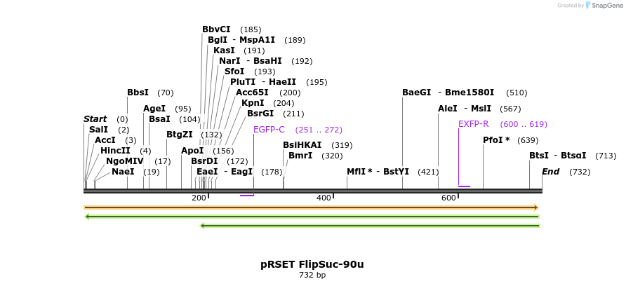 73469_map