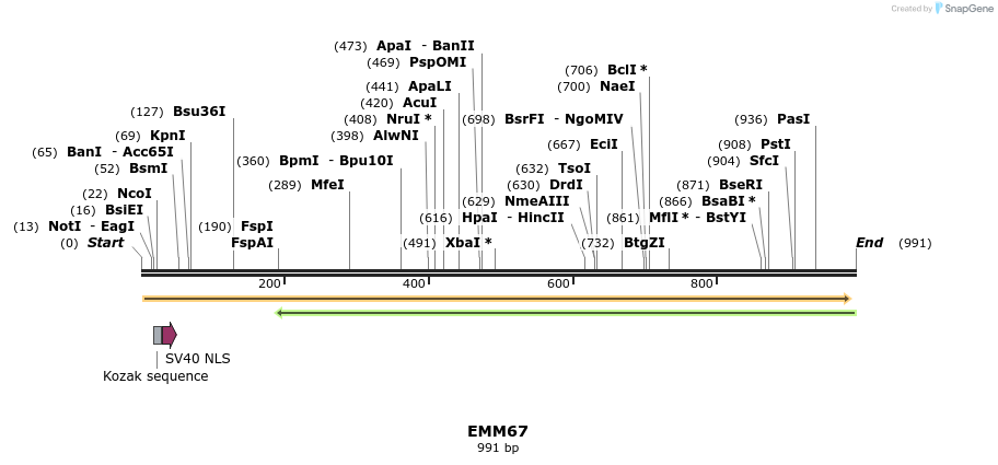 73471_map