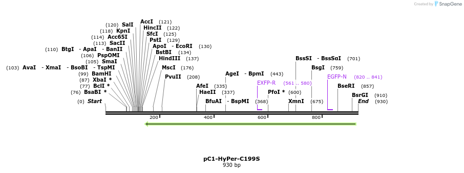 73474_map