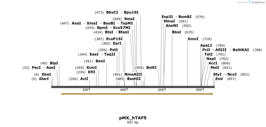 73475_map