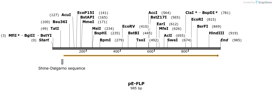 73476_map