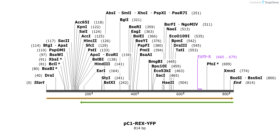 73477_map