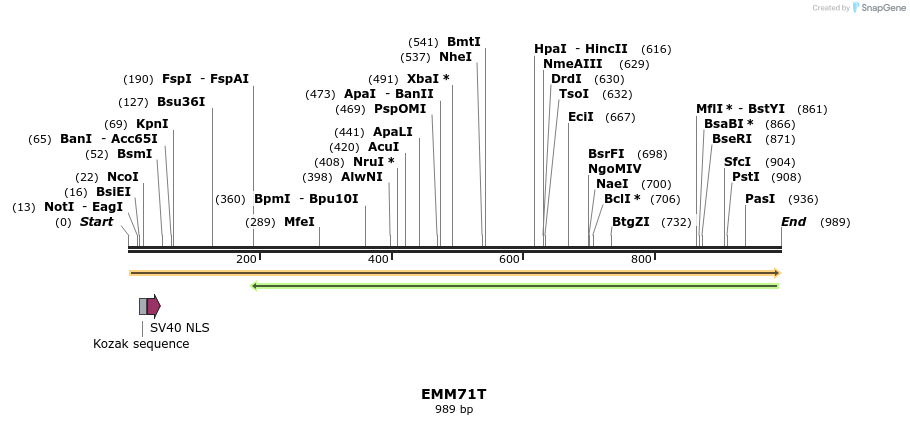 73478_map