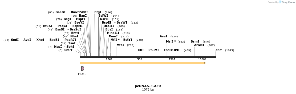 73479_map