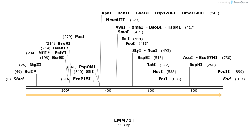 73481_map