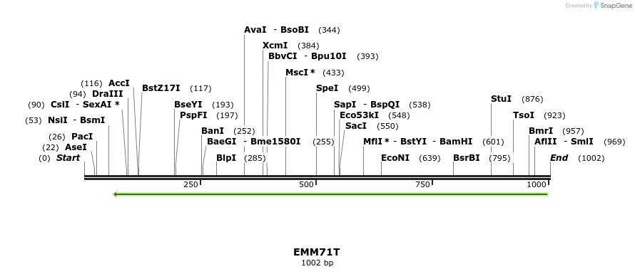 73483_map